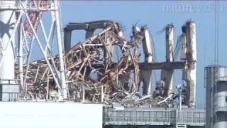 A year at Fukushima