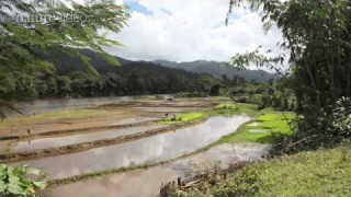 Climate change: Madagascar – by Nature Video