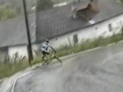 Funny Sports – Biker Boy Kisses the Ground