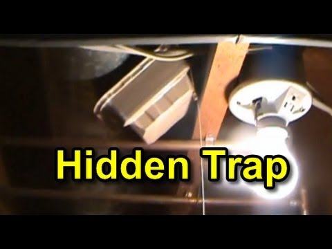 Hidden Camera Prank – Flour Attack Prank