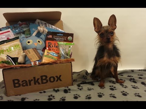 Introducing: BarkBox