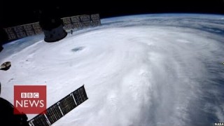 Japan typhoon Neoguri winds ‘up to 175 kmph’ – BBC News