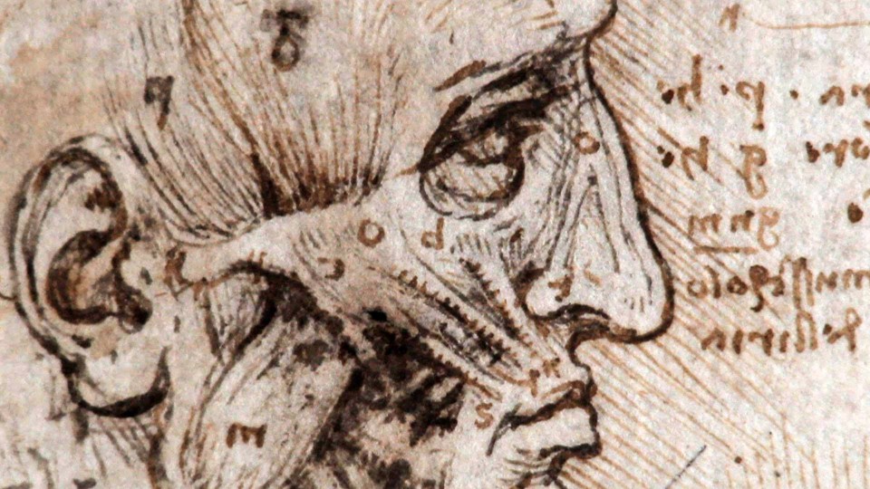 Leonardo: Anatomist – by Nature Video