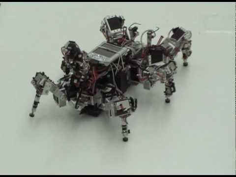 Robot roach extracts order from chaos