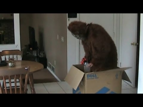 Scared People : Bigfoot Scare Prank