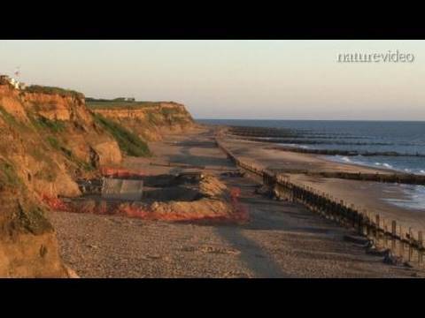The first Britons: by Nature Video