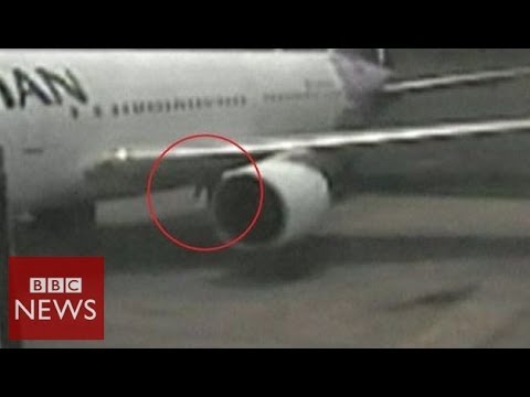 Video: Stowaway emerging from plane wheel – BBC News