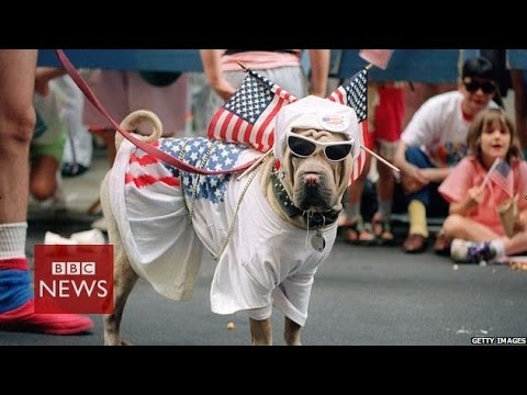 What do Americans really think about US on Independence Day – BBC News