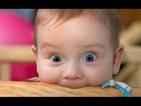 Babies Discovering Things for the First Time 2014 [NEW HD]