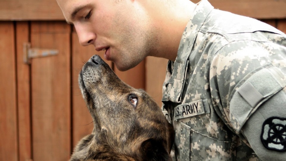 Dogs Welcoming Soldiers Home 2014 Part 2 [NEW HD]