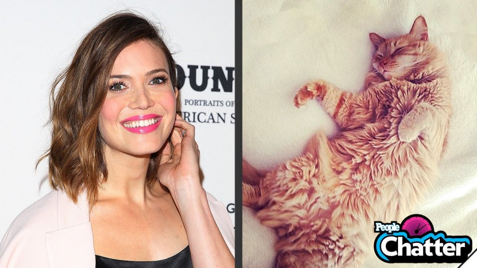 Is Mandy Moore a Crazy Cat Lady? – PEOPLE