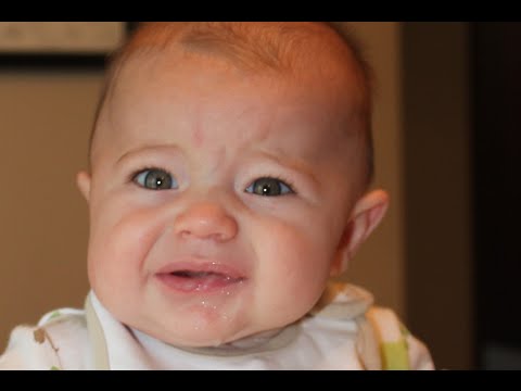 Babies Eating Grapefruit for the First Time 2014 [NEW HD]