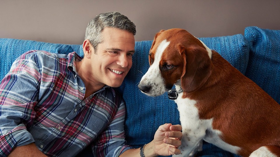 Andy Cohen’s Dog Wacha Interviews … Andy Cohen! – PEOPLE