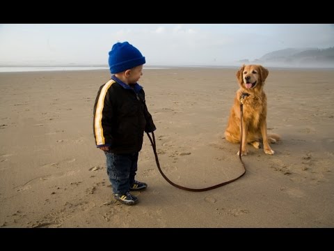 Cute Babies Walking Dogs Compilation 2014 [NEW HD]