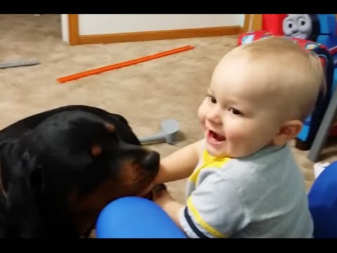 Funny Babies Talking to Dogs Compilation 2014 [NEW HD]