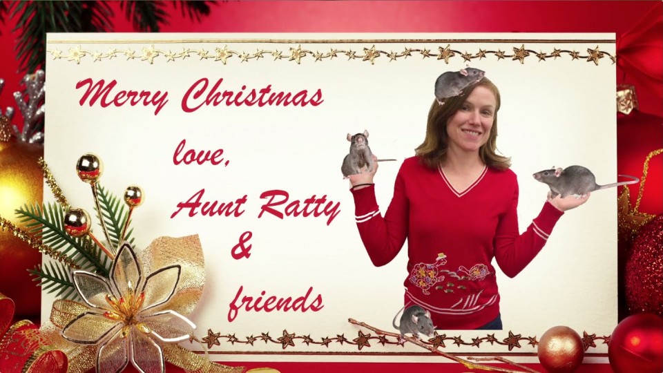 Crazy Aunt Meets Santa | Episode 1 | Waiting For Santa | PEOPLE