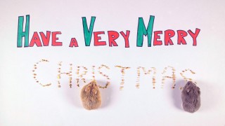 Day 12: Christmas Hats – Merry Christmas: 12 Days of Christmas