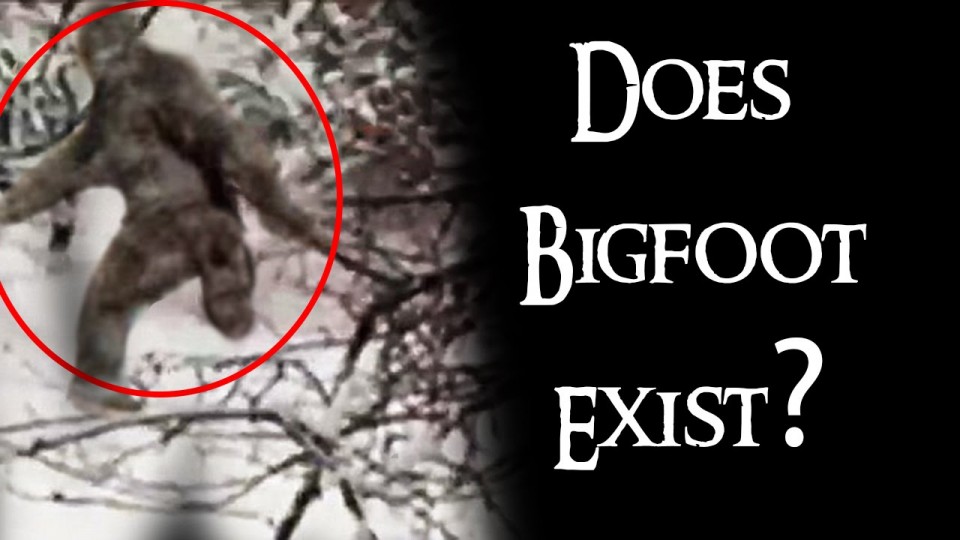 BIGFOOT Strolls through a Russian Forest! Do you think Bigfoot EXIST?