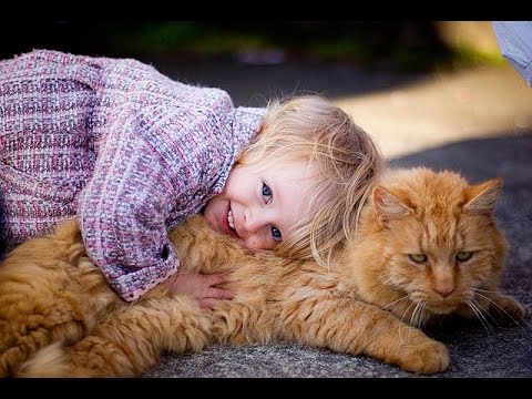 Cute Cats and Dogs Love Babies Compilation 2015 [NEW HD]