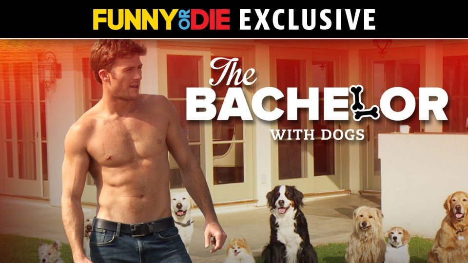 The Bachelor With Dogs with Scott Eastwood